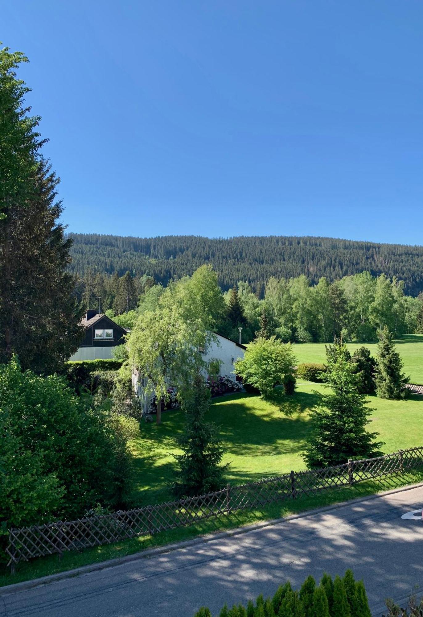 Ferienwohnung Homburger - Titisee Extérieur photo
